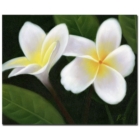 'Hawaiian Lei Flowers' Canvas Art,14x19